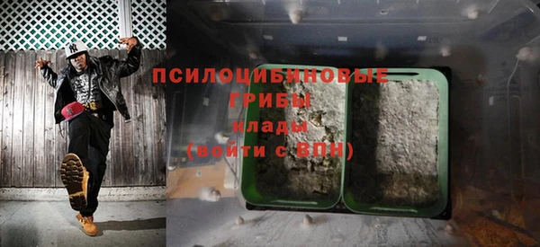 спайс Алексин