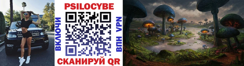 сколько стоит  Котельники  дарк нет состав  Галлюциногенные грибы Psilocybine cubensis 